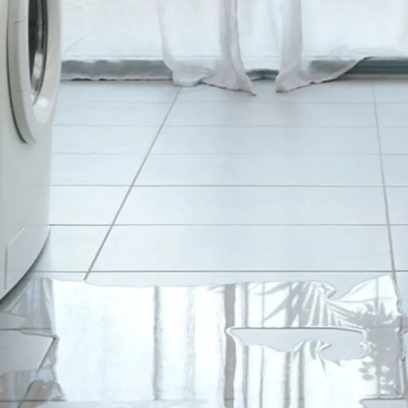Appliance Leak Cleanup in Stacy, MN