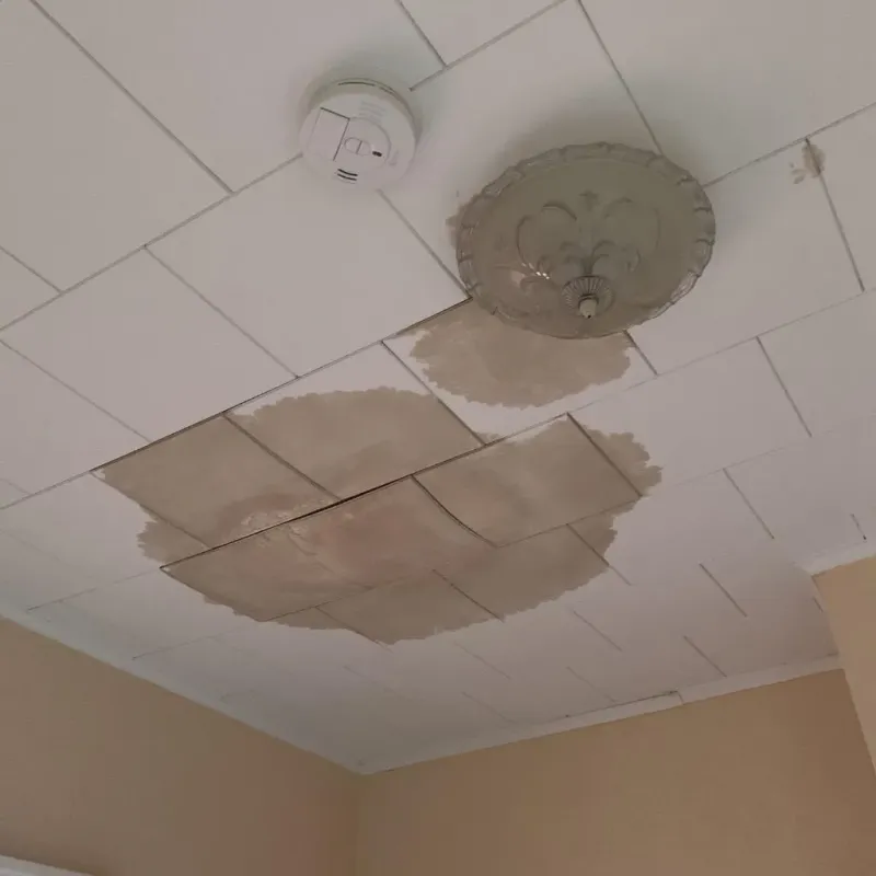 Ceiling Water Damage Repair in Stacy, MN