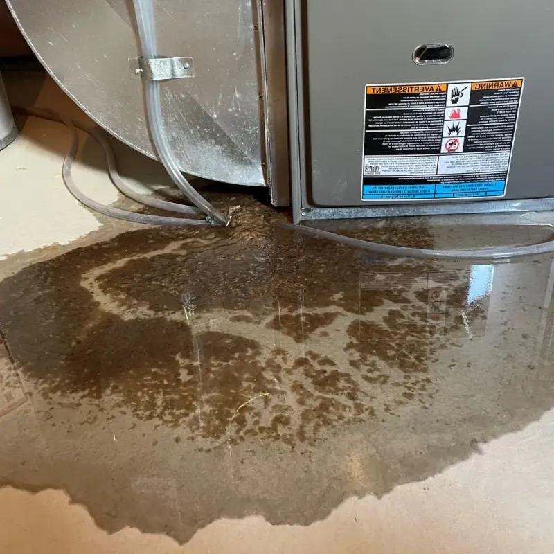 Pipe Burst and Leak Restoration in Stacy, MN